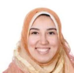 نرمين الغريب