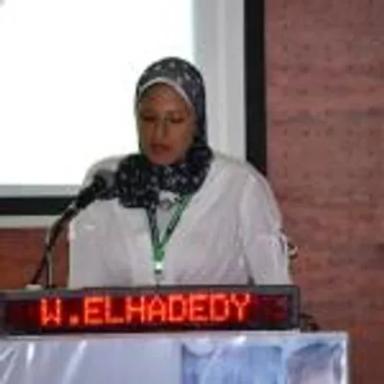 وسام الحديدي