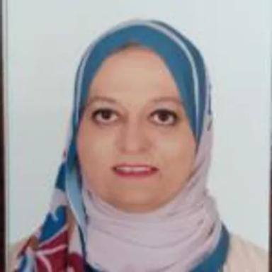 وسام احمد ابراهيم