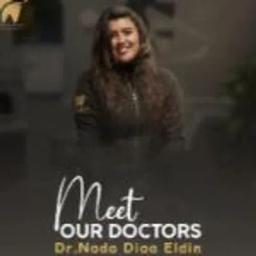 ندي ضياء الدين