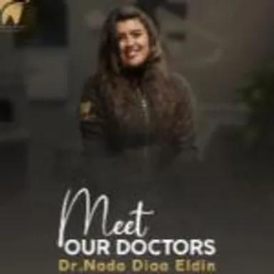 ندي ضياء الدين