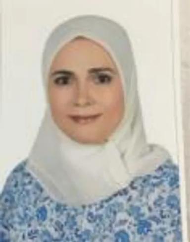 عبير شمس الدين