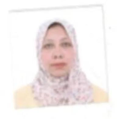 هايدي سيد محمد