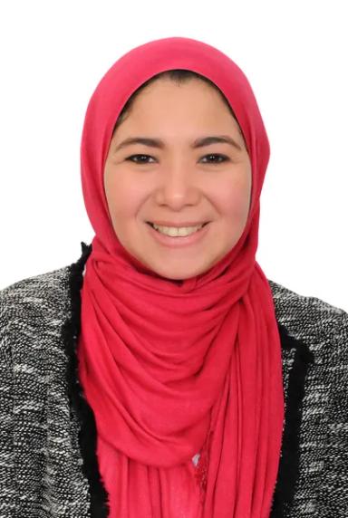 هبة الله محمد حسين