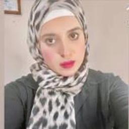 وسام حمدى البحيرى